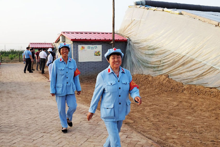 Erdbeerpflücken als Rotarmist