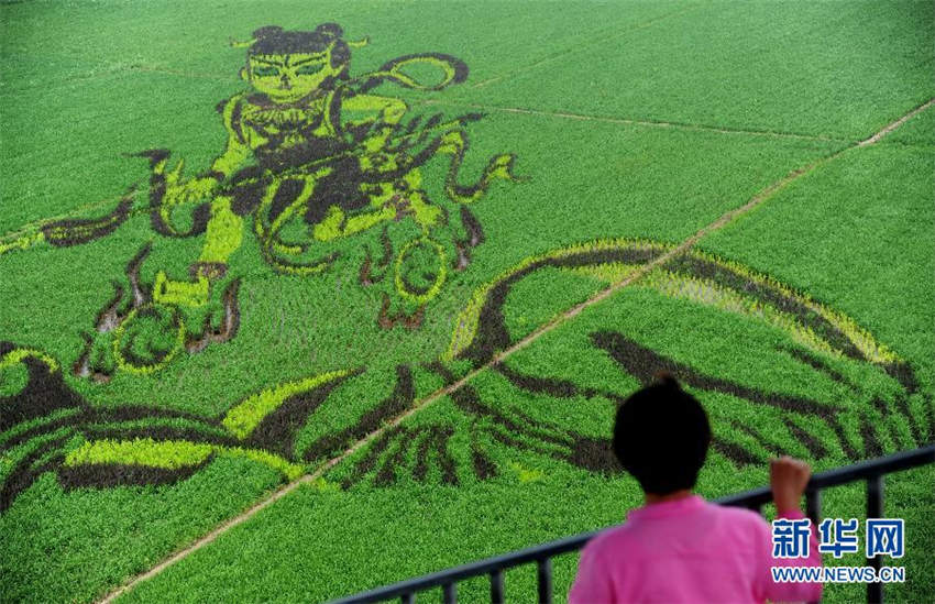 3D-Kunst im Reisfeld