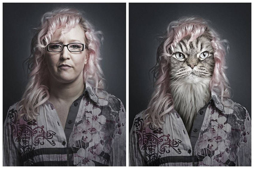 Schweizer macht aus Menschen Katzen