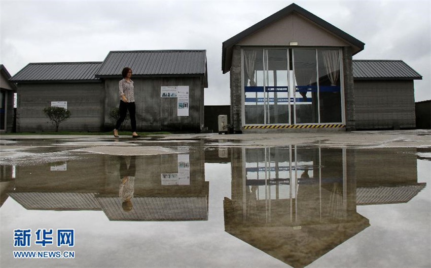Drucker baut zehn H?user an einem Tag