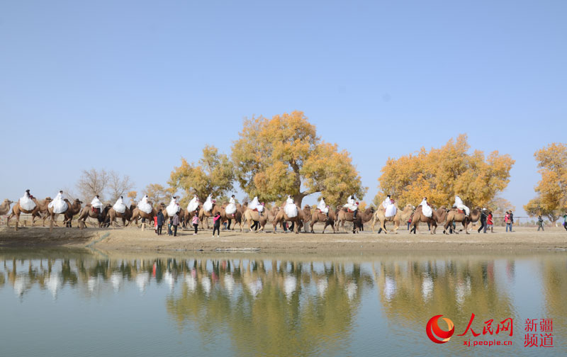 Hochzeit auf dem Kamel