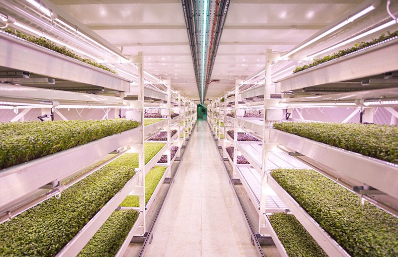 Erster unterirdischer Bauernhof in ehemaligem Luftschutzkeller