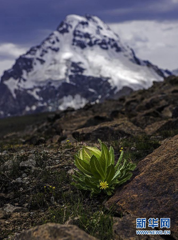 ?Bogda Feng“ – Der Berg der G?tter