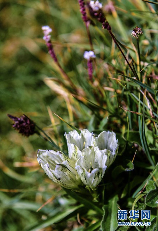 ?Bogda Feng“ – Der Berg der G?tter