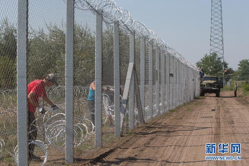 Ungarn baut Grenzzaun gegen Flüchtlinge
