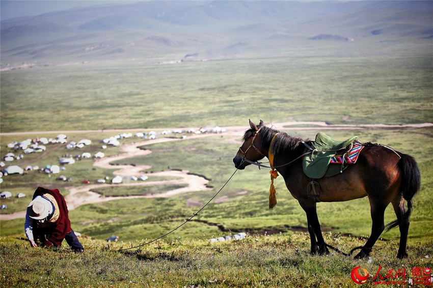 Die unwiderstehliche Sch?nheit des tibetischen Bezirks Gannan