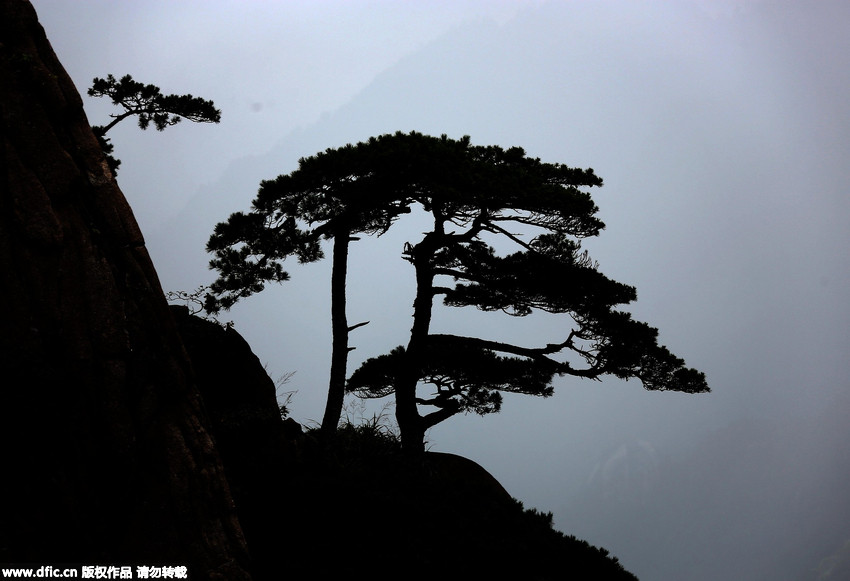 Mystisches Wolkenmeer auf dem Huangshan
