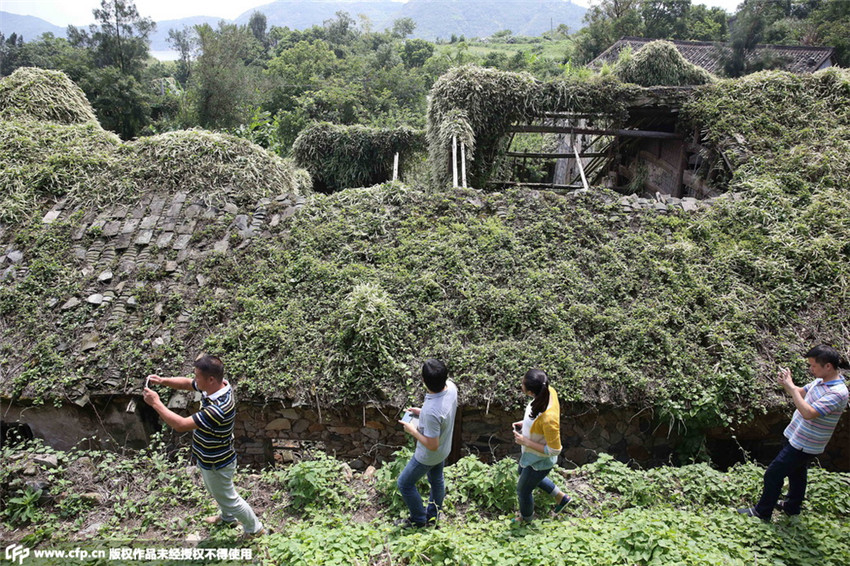 Ausgestorbenes Fischerdorf wird Touristenattraktion