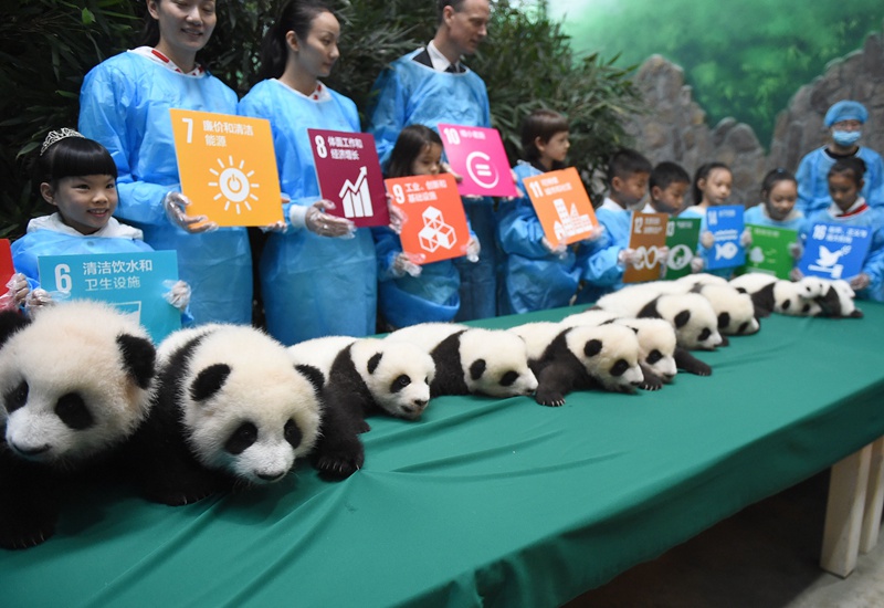 Panda-Kindergarten er?ffnet