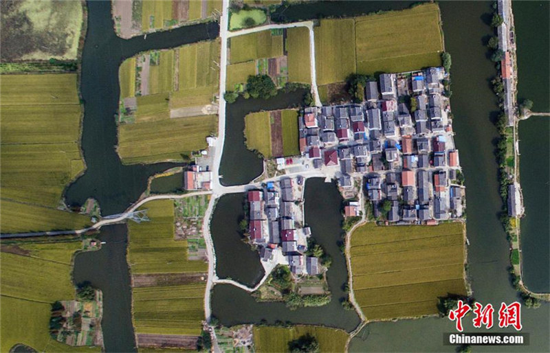 Luftaufnahme der Herbsternte am Stadtrand von Nanjing