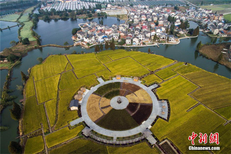 Luftaufnahme der Herbsternte am Stadtrand von Nanjing