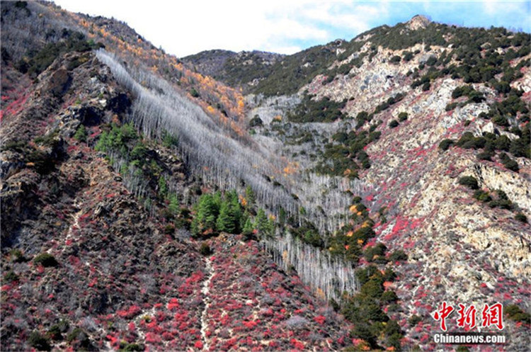 Wundersch?ne Landschaft in Tibet