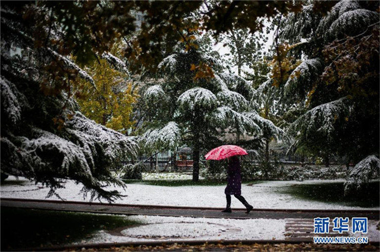 Erster Schnee 2015 in Beijing