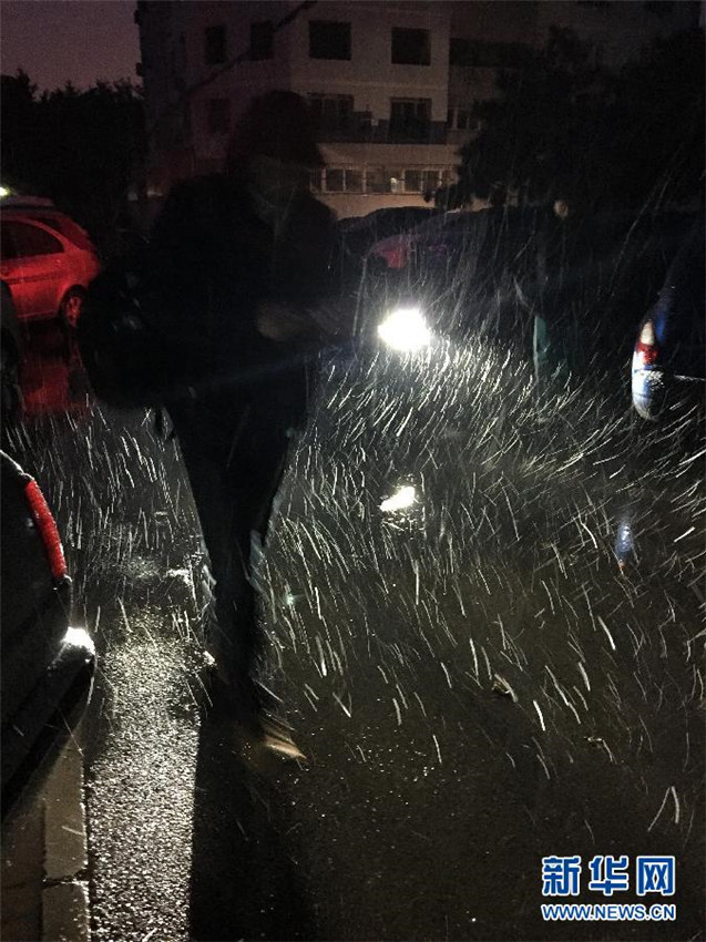 Erster Schnee 2015 in Beijing