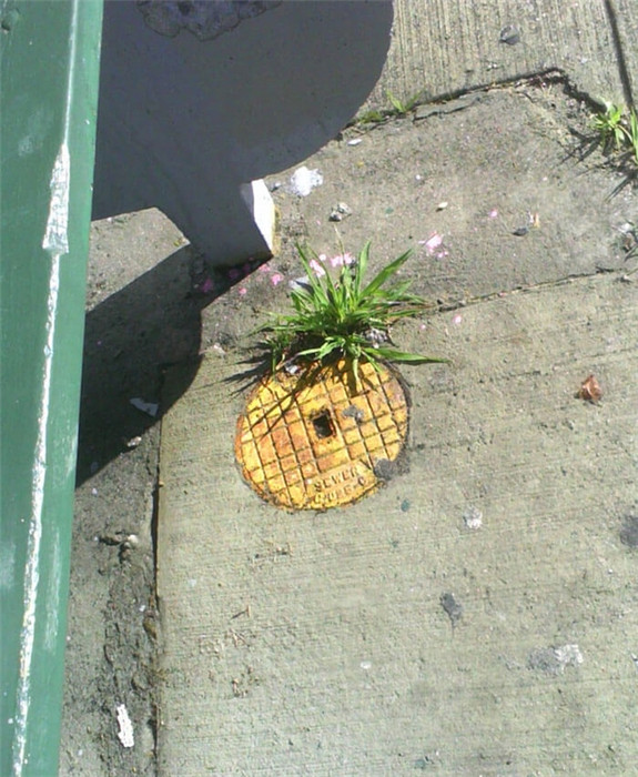 Perfekte Verbindung zwischen Stra?enkunst und Natur