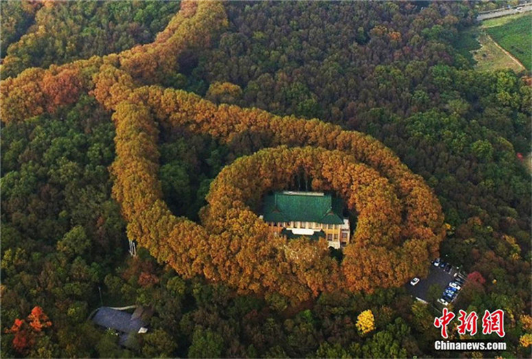 Die ?goldene Halskette“ von Nanjing