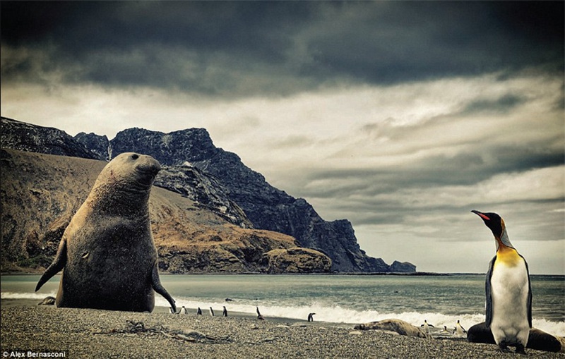 Eiskalte Natursch?nheiten