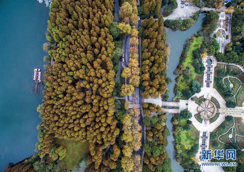 Farbiger Sp?therbst in Hangzhou 