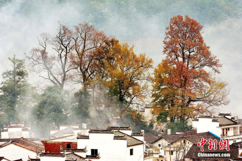 Frühwinterliche ?Dorfsch?nheiten“