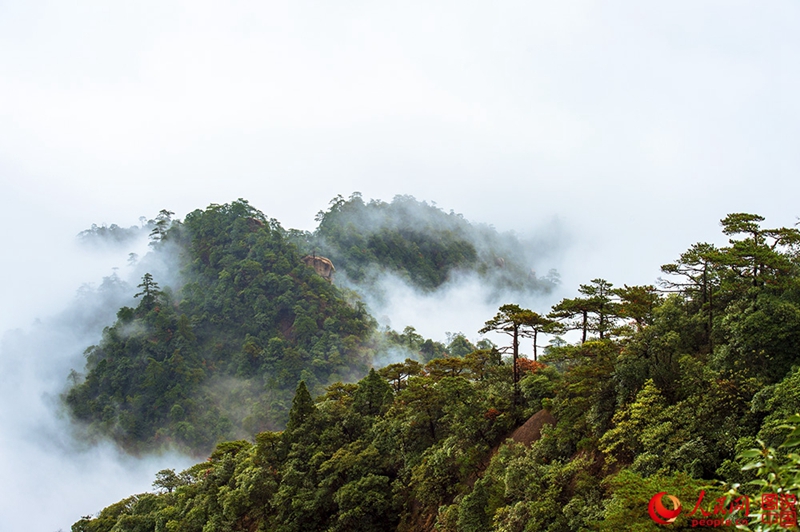 Das sch?ne Sanqing-Gebirge in Jiangxi