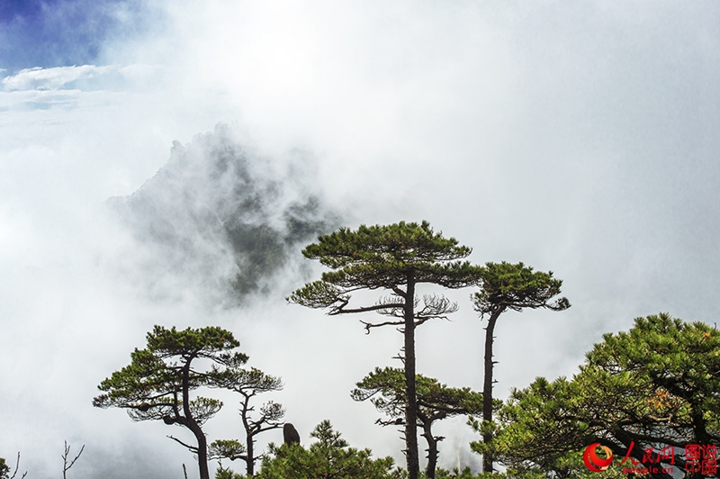 Das sch?ne Sanqing-Gebirge in Jiangxi