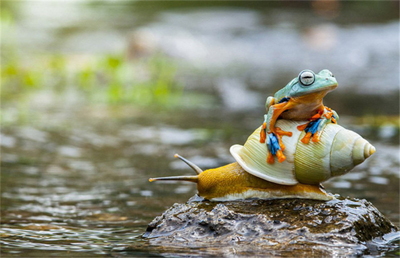 Die merkwürdigsten und überraschendsten Medienfotos 2015