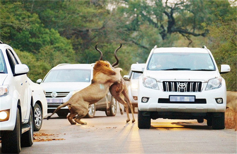 Die merkwürdigsten und überraschendsten Medienfotos 2015