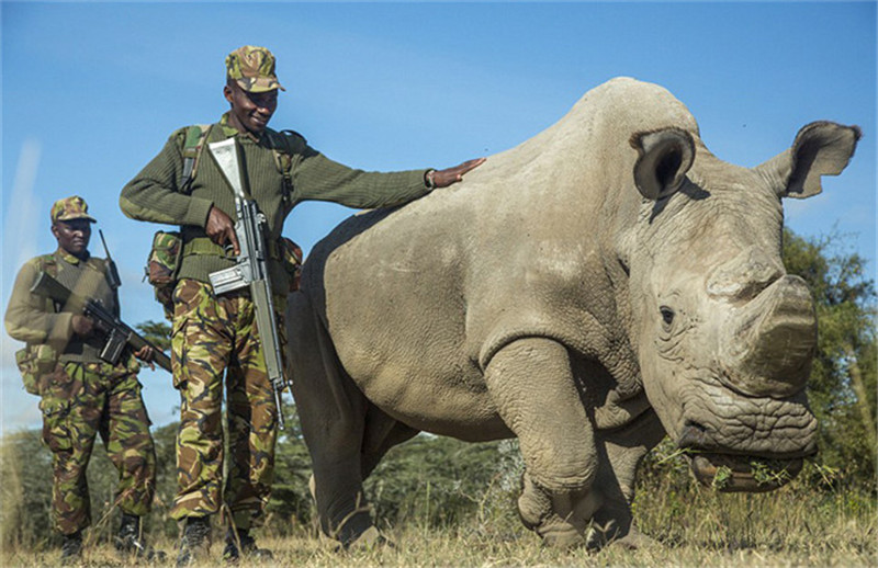 Die merkwürdigsten und überraschendsten Medienfotos 2015