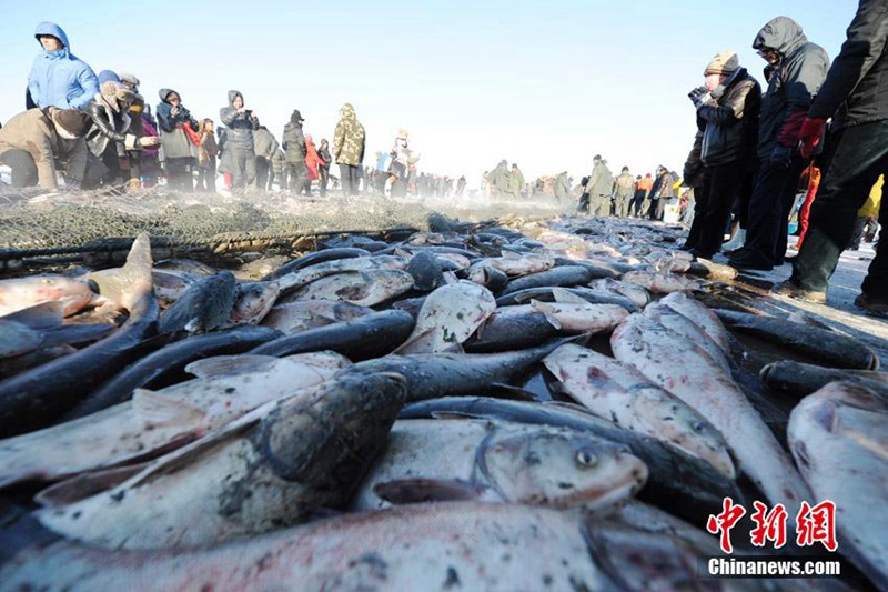 Eisfisch-Festival in Jilin