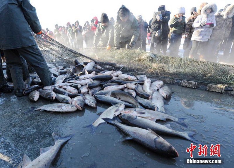 Eisfisch-Festival in Jilin