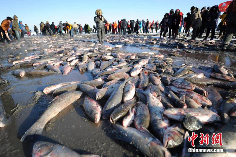 Eisfisch-Festival in Jilin
