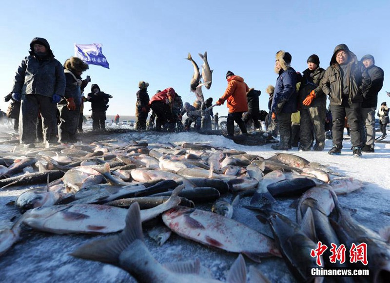 Eisfisch-Festival in Jilin