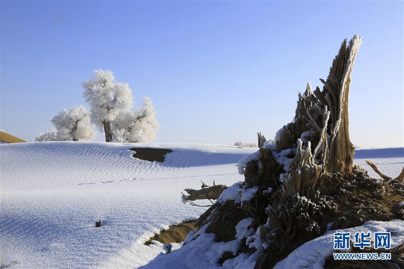 Frostiges Naturschauspiel an der ?See des Todes“ 