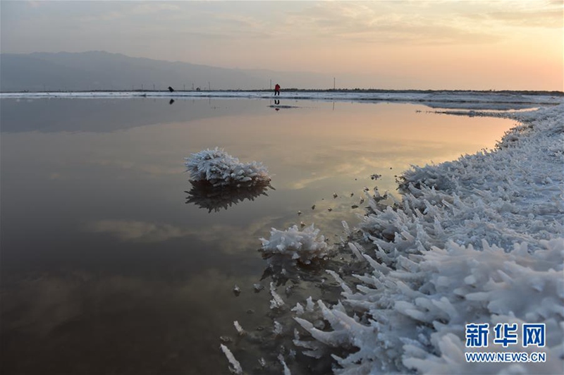 Mirabilit-Kristalle auf dem chinesischen ?Toten Meer“