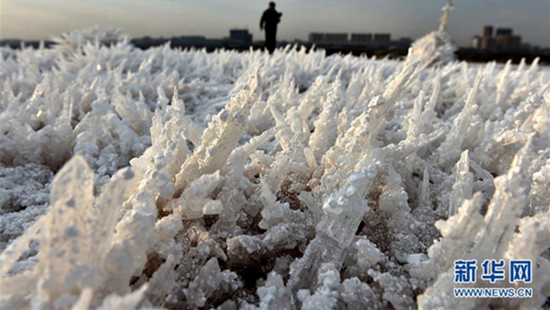 Mirabilit-Kristalle auf dem chinesischen ?Toten Meer“