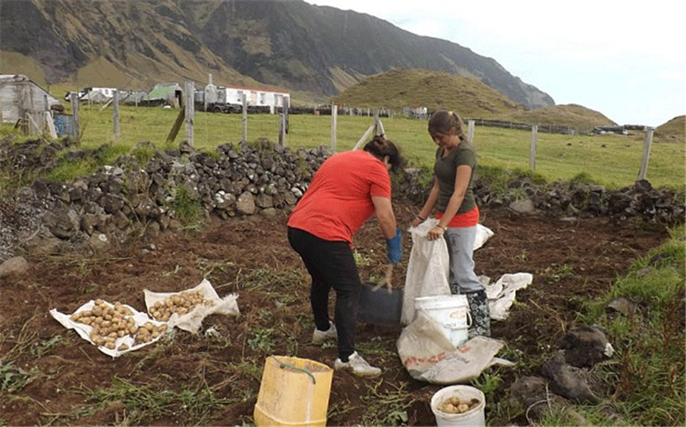 Abgelegenste Insel der Welt stellt Bauern ein