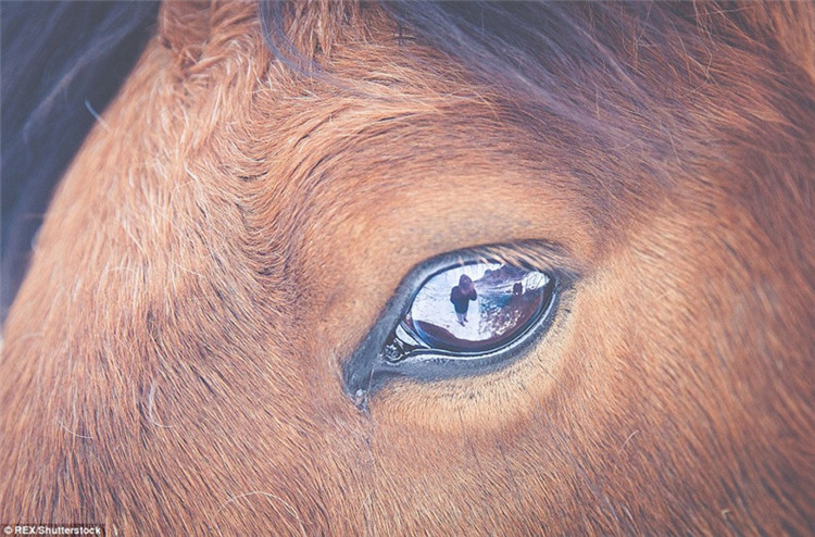 Deutscher Fotograf nimmt wundersch?ne Szenen in Island auf