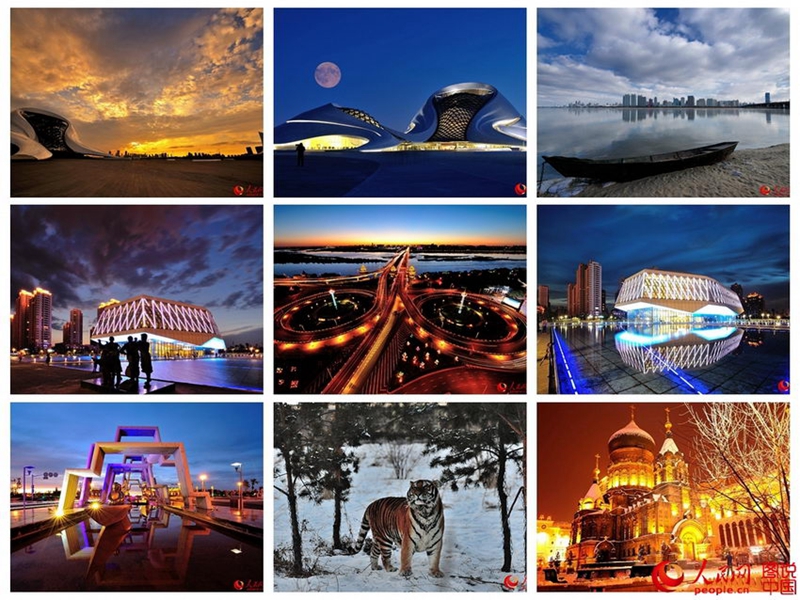 Mein 2015 in neun Bildern