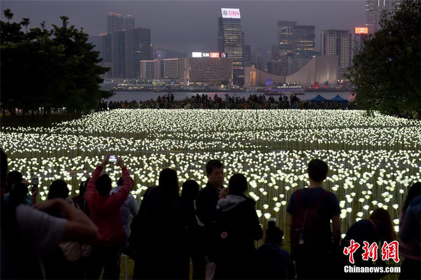 Hongkong: 25.000 rosef?rmige Lampen zum Valentinstag
