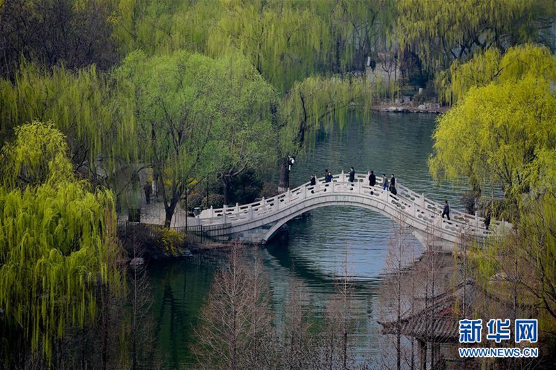 Frühlingserwachen am Daming-See
