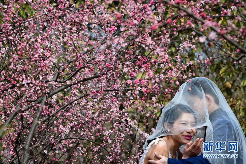 Frühlingserwachen am Daming-See