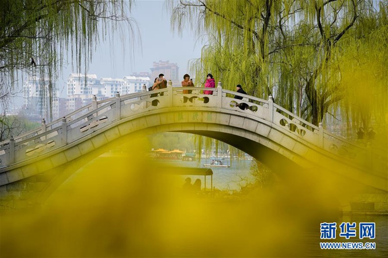 Frühlingserwachen am Daming-See