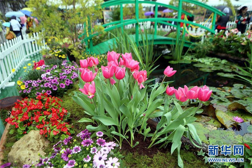 Die Blumenschau in Hongkong geht zu Ende