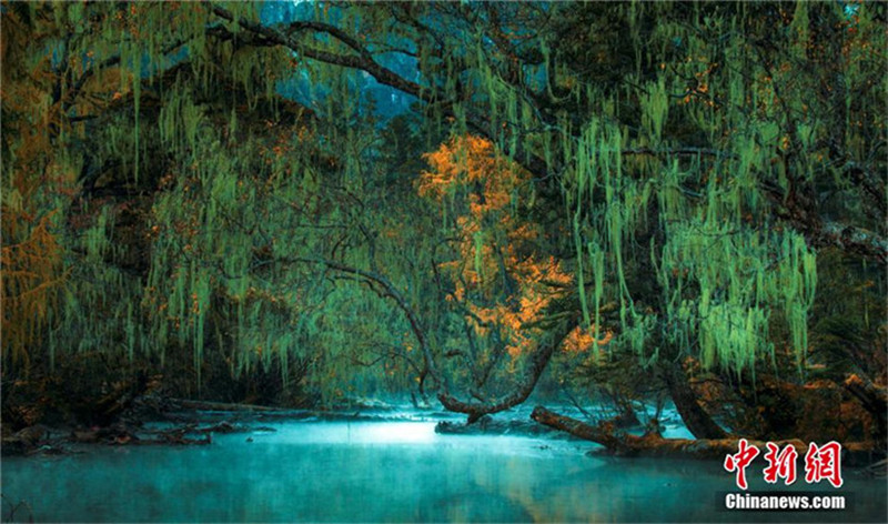 Preisgekr?nte Fotos des ?Lieta-See-Wettbewerbs“ aus Sichuan