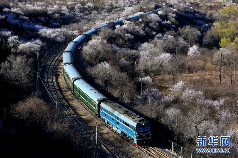 Der Frühling h?lt Einzug in Beijing 