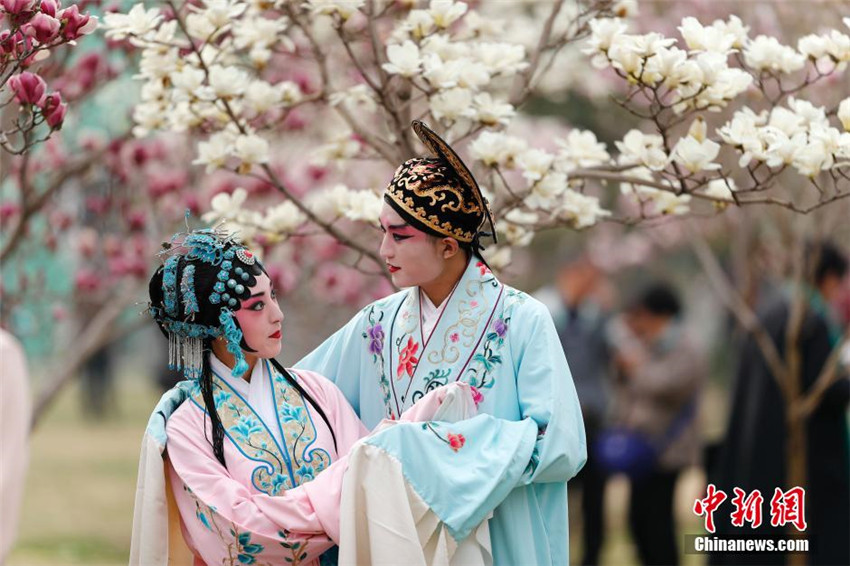 ?Magnolienteerunde“ im Beijing International Sculpture Park