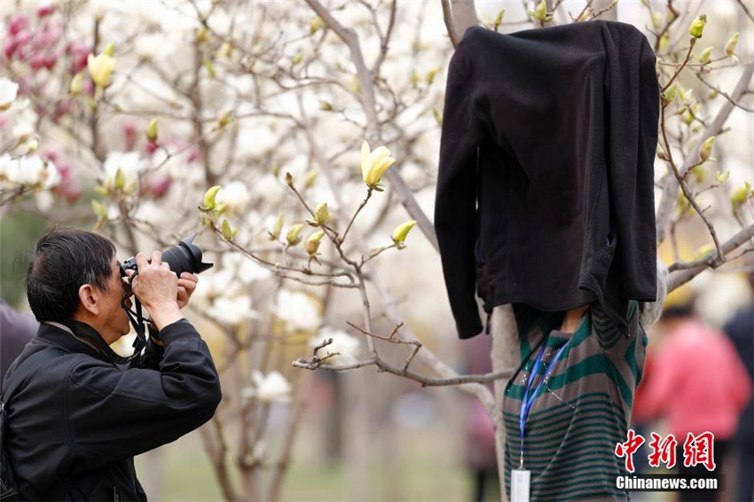 ?Magnolienteerunde“ im Beijing International Sculpture Park