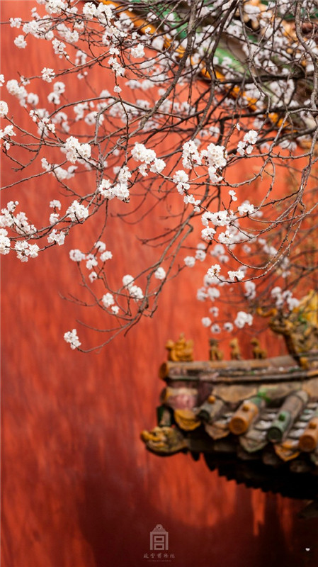 Frühlingsszenen aus der Verbotenen Stadt