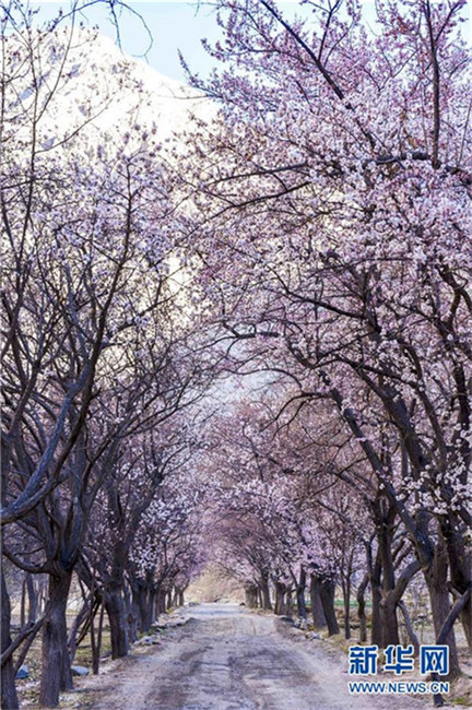 Pamir-Hochebene im Frühling