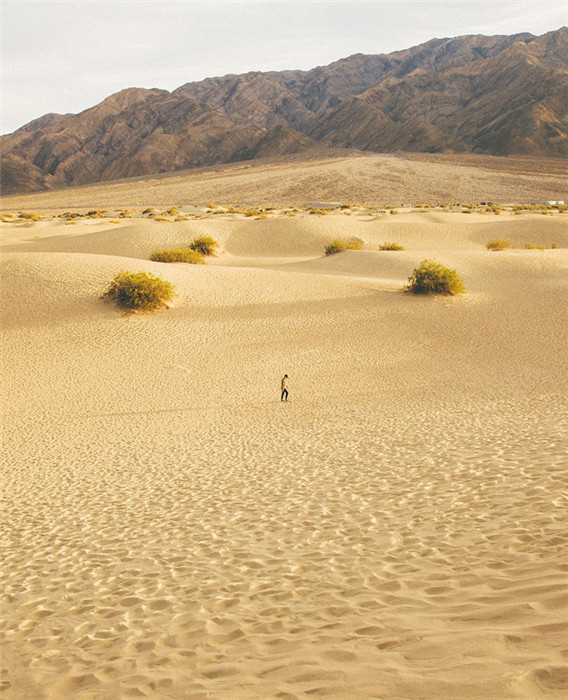 Sch?ne Einsamkeit in der Natur